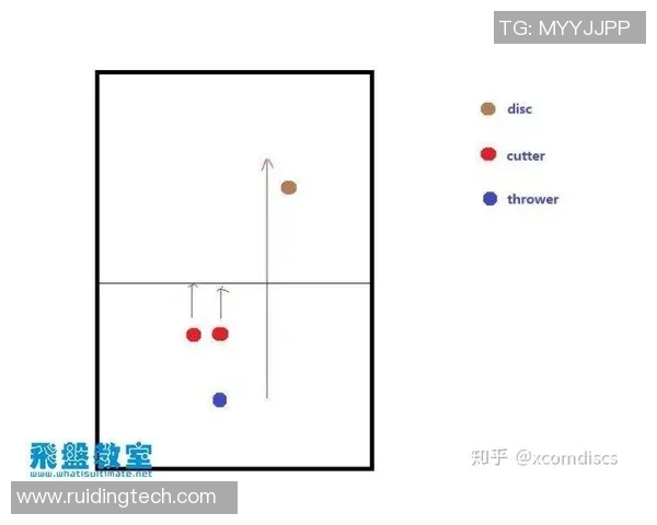 杭州飞盘队防守策略分析与比赛表现评估
